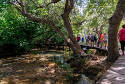 From Zadar: Krka National Park and Waterfalls Day Trip - Inside Krka National Park: waterfalls, river power, and a guided walk