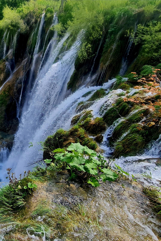 From Zadar: Plitvice Lakes Day Trip with Guide and Boat Tour - Meeting points in Zadar: morning is simpler, afternoon needs planning