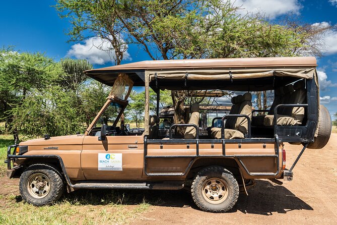 From Zanzibar: Mikumi Safari Day Trip with Flights and Meal - Lunch in the Park: Food Timing and Keeping Your Energy Up