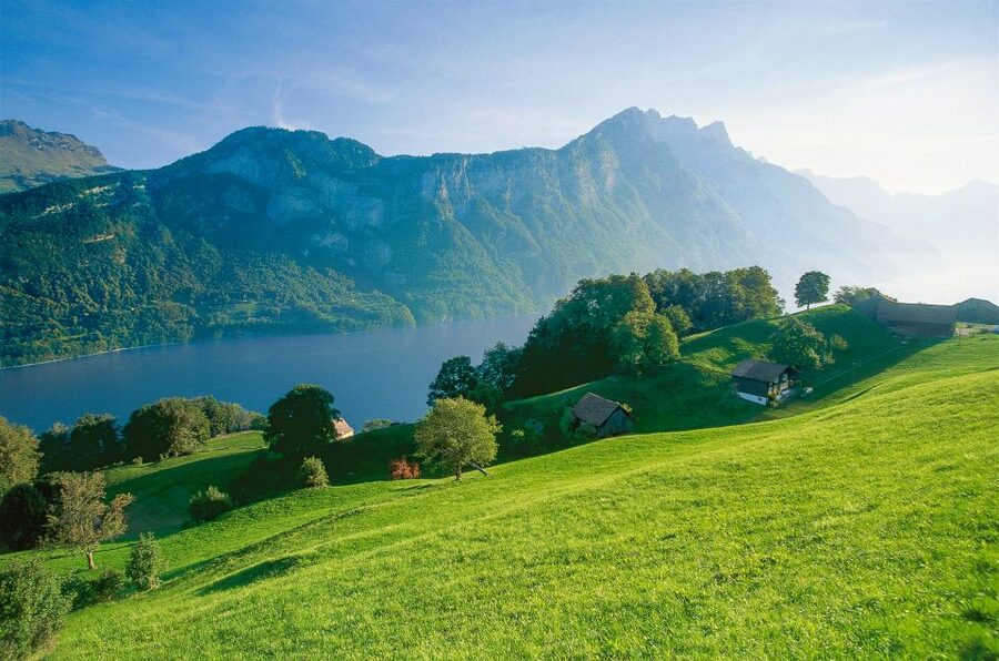 From Zurich: Bus Day Trip to Heidiland and Liechtenstein - Key highlights to know before you go