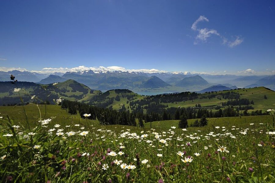 From Zurich: Day Trip to Rigi and Lake Lucerne - Who This Day Trip Suits Best (and Who Might Want Another Plan)