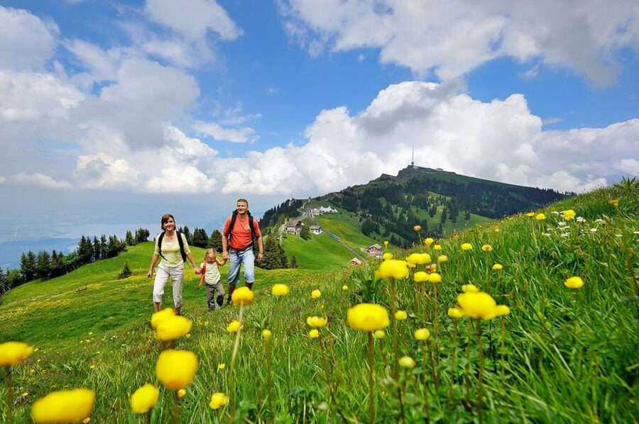 From Zurich: Day Trip to Rigi and Lake Lucerne - Should You Book This Zurich-to-Rigi and Lake Lucerne Day Trip?