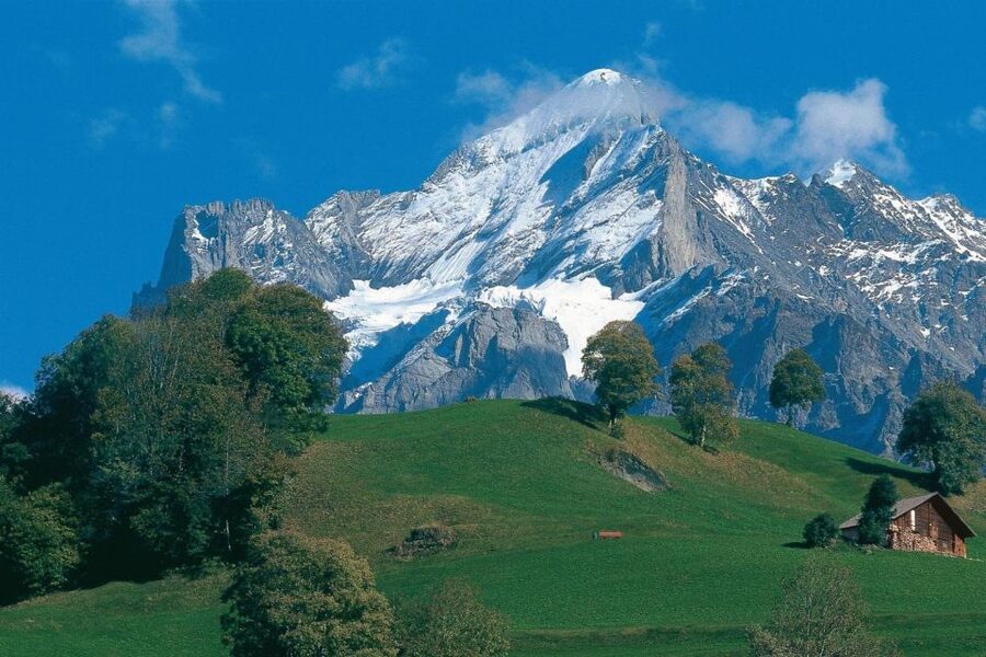 From Zürich: Interlaken and Grindelwald Day Trip by Coach - Price and what you’re really paying for