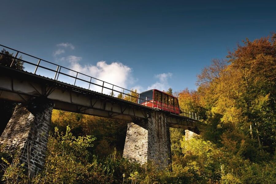 From Zurich: Interlaken Day Trip and Harder Kulm Viewpoint - Key Points at a Glance