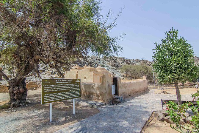 Fujairah Private day trip from Dubai with Lunch - Dibba and the Gulf coast: port vibes and fishing villages
