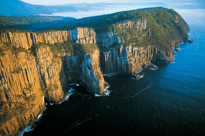 Full-Day Bruny Island Cruises Day Tour from Hobart - Wildlife Spotting That Actually Works: What to Watch For and When