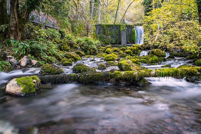 Full-Day Trip from Belgrade: Tara National Park & The Drina River Valley - The long drive back to Belgrade: plan your energy for the 3-hour return