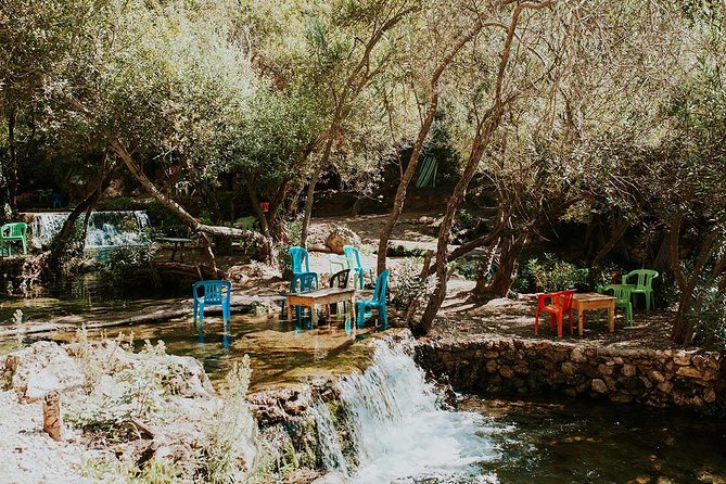 Full Day trip To chefchaouen including 3 courses lunch - Lunch in Chefchaouen: Three Courses, Real Flavors, and Dietary Reality Checks