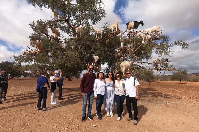 Full Day Trip To Essaouira city - Departure From Marrakech - Markets, Jewish Quarter, and Berber Color: What You Should Actually Look For