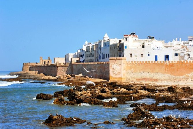 Full Day Trip To Essaouira city - Departure From Marrakech - Argan Oil Factory Stop: Free Admission and That Tree-Goat Moment