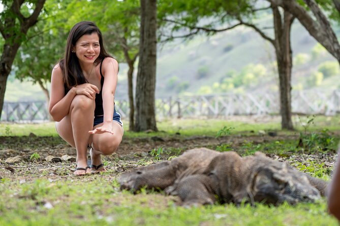 Full Day Trip to Explore 6 Destinations in Labuan Bajo and Komodo - Manta Point: The Chance to Swim With Gentle Giants