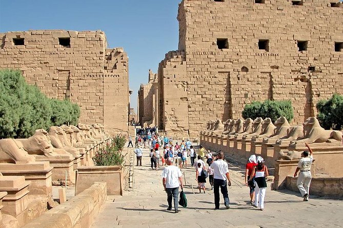Full Day Trip to Luxor from Hurghada Small Group with Lunch - Price and value: what $150.33 buys you (and what it doesn’t)