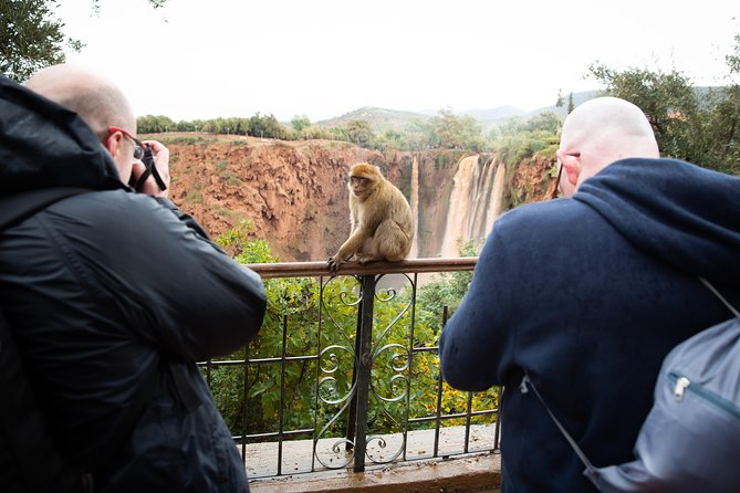 Full Day Trip To Ouzoud Waterfalls From Marrakech & Boat Tour - Boat ride near the falls: getting close to the water