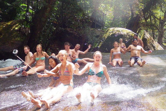 Fun, Falls and Forests Day Trip from Cairns - The Falls Teahouse Break: A Serious Meal Moment