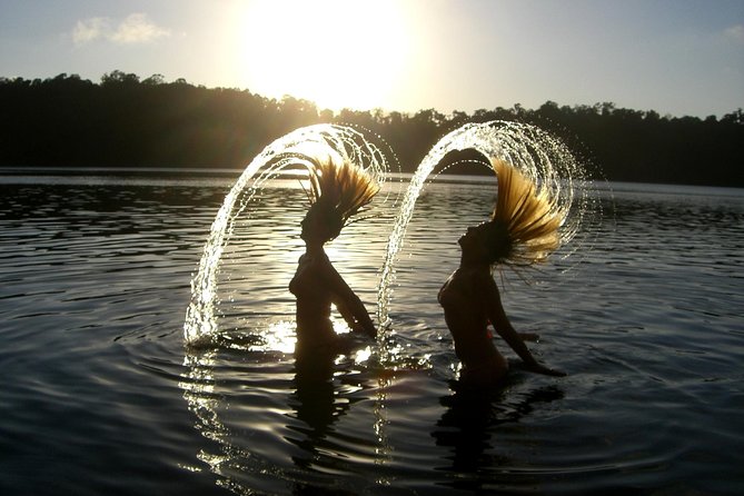 Fun, Falls and Forests Day Trip from Cairns - Millaa Millaa Falls: Swim Behind a 30-Meter Waterfall