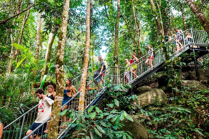 Fun, Falls and Forests Day Trip from Cairns - Meals, Snacks, and the Rhythm That Keeps the Day Fun