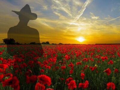 Gallipoli Full-Day Tour from Istanbul - Crossing the Dardanelles: the ride is part of the experience