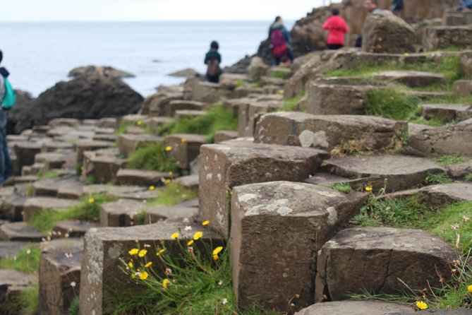 Game of Thrones and Giant's Causeway Day Tour from Belfast - Bushmills Distillery: A Real Break From the Fantasy