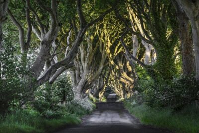 Game of Thrones and Giant's Causeway Full-Day Tour from Belfast - The comfy coastal drive: Belfast to the filming-spots route