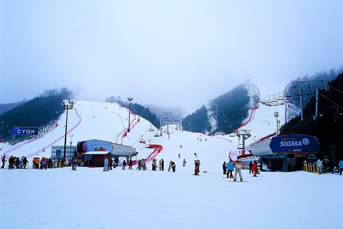 Gangchon Elysian Ski Day Trip from Seoul - A straightforward Seoul-to-snow transfer