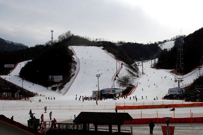 Gangchon Elysian Ski Day Trip from Seoul - Group size and the “how guided is it” reality check