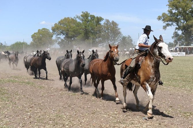 Gaucho Experience: A Day Trip to Don Silvano Ranch - Welcome at Estancia Don Silvano: empanadas, wine, museum time, and ranch atmosphere