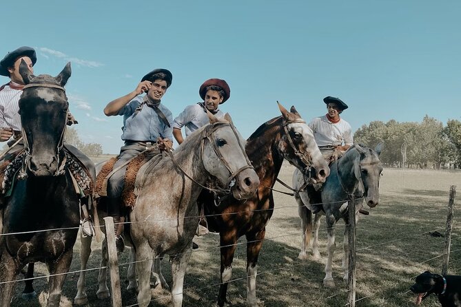Gaucho Experience: A Day Trip to Don Silvano Ranch - Horseback Riding and Ranch Life: tame mounts, milking chances, and how the day really works