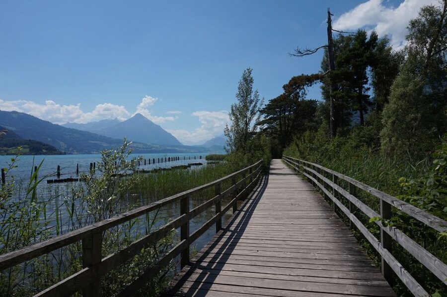 Geneva: Interlaken Day Trip & Visit to Harder Kulm Viewpoint - Weather, crowds, and your viewpoint strategy