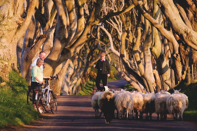 Giant's Causeway Day Tour from Dublin - Belfast City Hall Stop: A Taste of the City, Not a Full Day