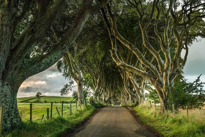 Giant's Causeway Day Tour from Dublin - Guide Storytelling and Live Commentary: Why the Ride Matters