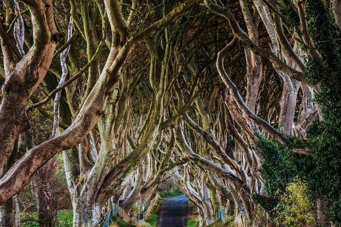 Giant's Causeway Full Day Tour from Belfast - Dunluce Castle ruins: cliffs, a 1600s tragedy, and great photo angles