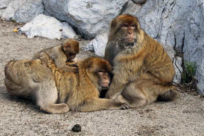 Gibraltar Day Trip from Seville + Rock Tour - St Michael’s Cave and the Great Siege Tunnels: what these stops are really like
