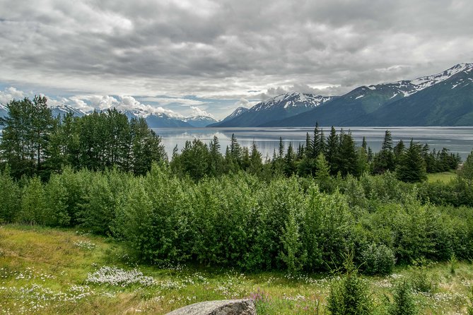 Glaciers and Wildlife: Super Scenic Day Tour from Anchorage - Turnagain Arm and Cook Inlet: big scenery with tide power