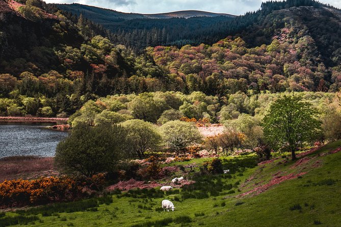 Glendalough Day Tour from Dublin: Including Kilkenny City - Price and value: what $48.27 buys you (and what it doesn’t)