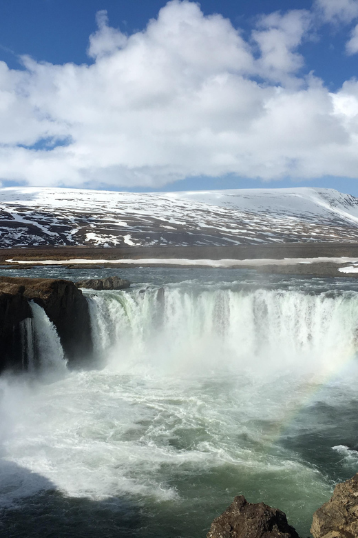 Godafoss Waterfall Short Day Tour from Akureyri Port - Price and what you actually get for $82