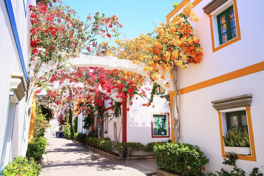 Gran Canaria: Puerto de Mogán Local Market Day Trip - Puerto de Mogán: where flowers and canals steal the show