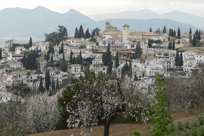 Granada Day Trip: Alhambra & Nazaries Palaces from Seville - Arriving at the Alhambra: Timed Entry Rules and How to Beat the Waiting
