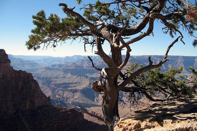 Grand Canyon South Rim Day Trip from Flagstaff - Price and value: what $196.63 buys you (and what to watch for)