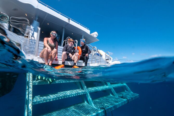 Great Barrier Reef Full Day Tour from Cairns - Snorkeling vs intro scuba vs certified scuba