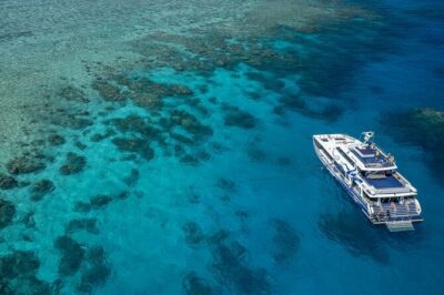 Great Barrier Reef Full Day Tour from Cairns - The reef plan: two sites, Norman/Saxon/Hastings, and what to expect