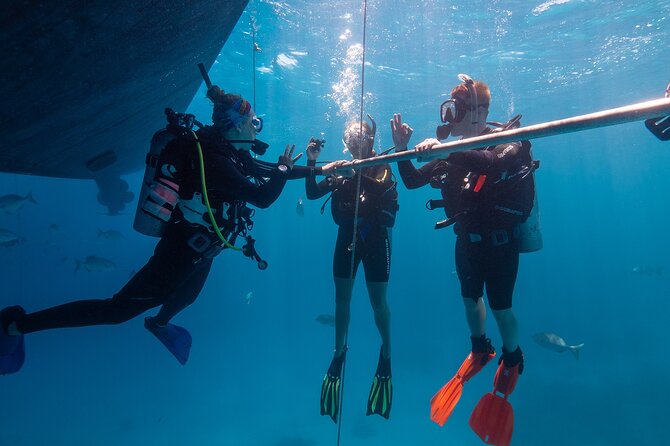 Great Barrier Reef Full Day Tour from Cairns - Food, showers, and those comfort wins you’ll notice later