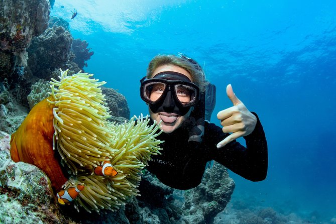 Great Barrier Reef Full Day Tour from Cairns - Safety and staff service: where the reputation comes from