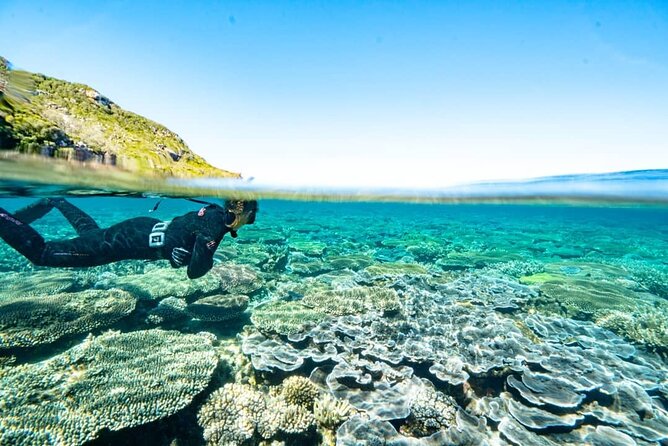 Great Keppel Island Day Trip with Lunch - Reef time without the stress: making the ocean part of your plan
