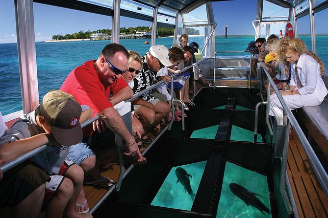 Green Island Half-Day Trip from Cairns - Reef Fleet Terminal and the catamaran ride: the comfort factor