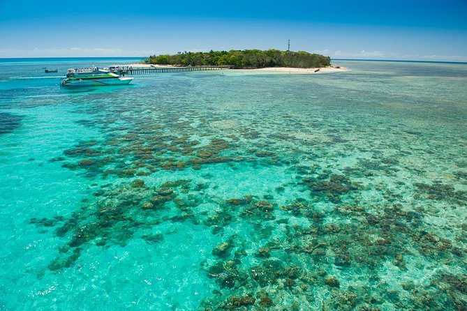Green Island Half-Day Trip from Cairns - Who should book this Green Island half-day—and who should choose longer