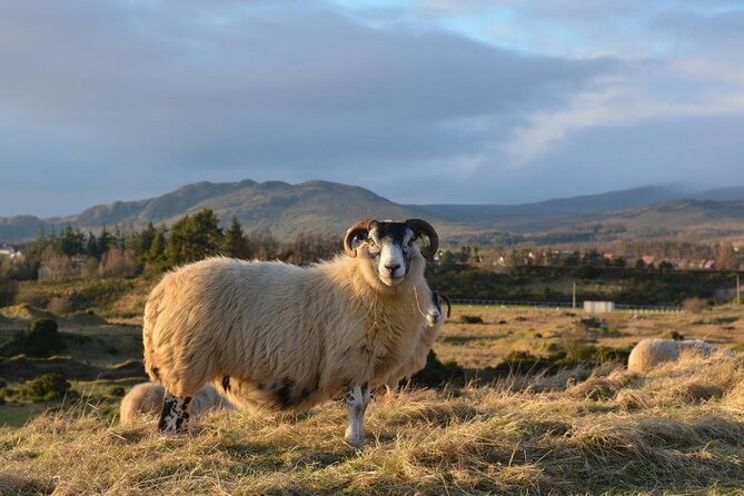 GREENOCK (GLASGOW) SHORE EXCURSION: Scotland Adventure Sightseeing Day Trip Tour - Key highlights worth planning around