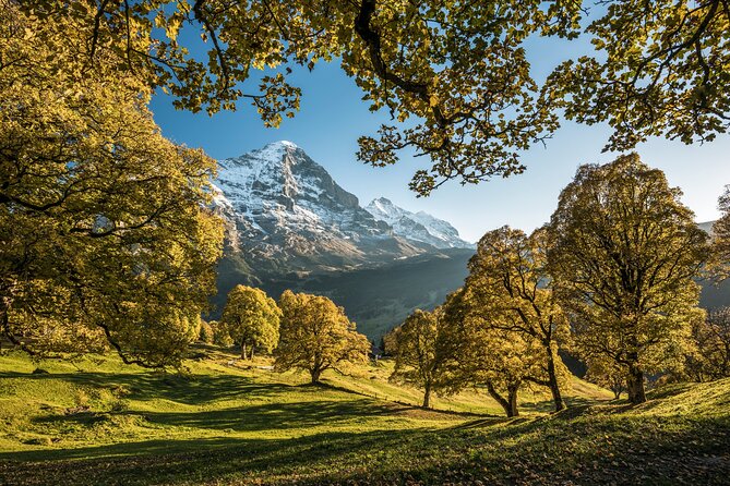 Grindelwald, Interlaken & Lauterbrunnen Day Trip from Zurich - Lauterbrunnen Valley Waterfalls: Short, Powerful, and Scenic (About 1 Hour)