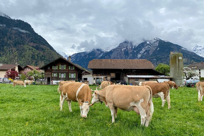 Grindelwald, Lauterbrunnen & Mürren Private Day Trip from Zurich - Pacing, walking level, and a practical packing checklist