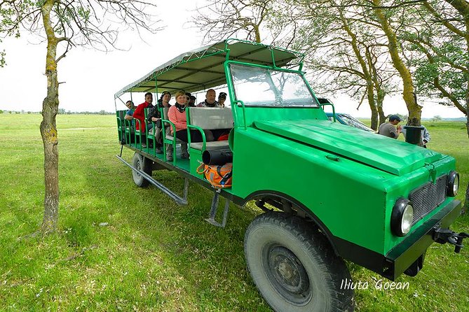 GROUP Guided Day Trip to the Danube Delta, Tulcea - Letea - Tulcea to Letea: why this route is so satisfying