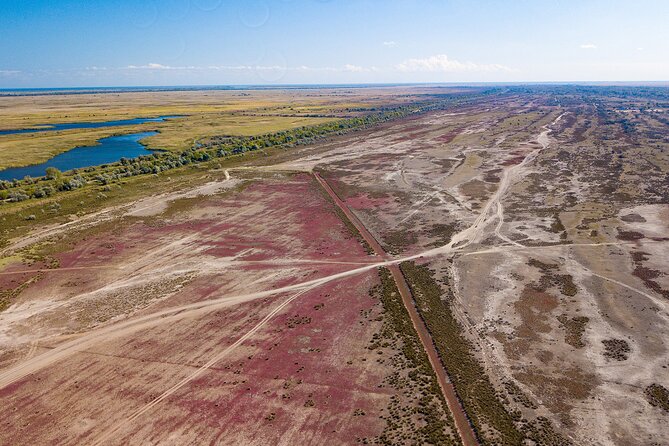 GROUP Guided Day Trip to the Danube Delta, Tulcea - Letea - Mila23 break: coffee, toilets, then lakes toward Letea
